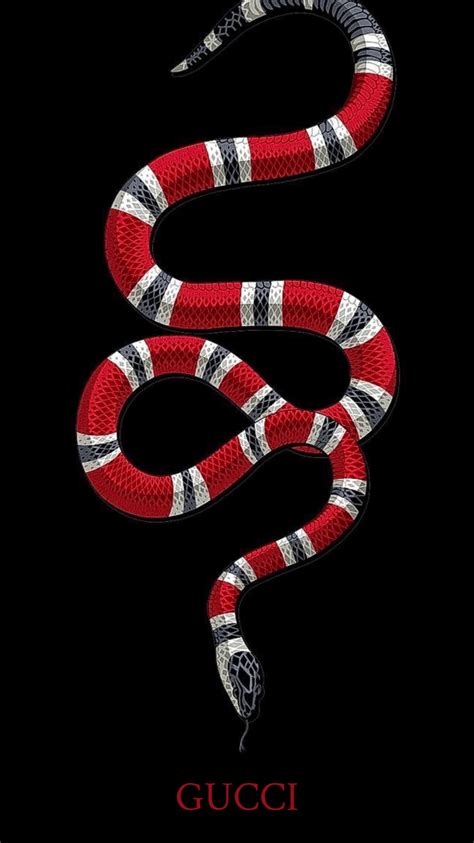 gucci snake|why does Gucci use snake.